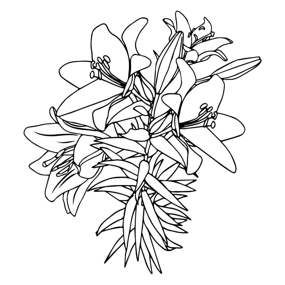 A bouquet of graceful lilies on high stems in doodle style. vector