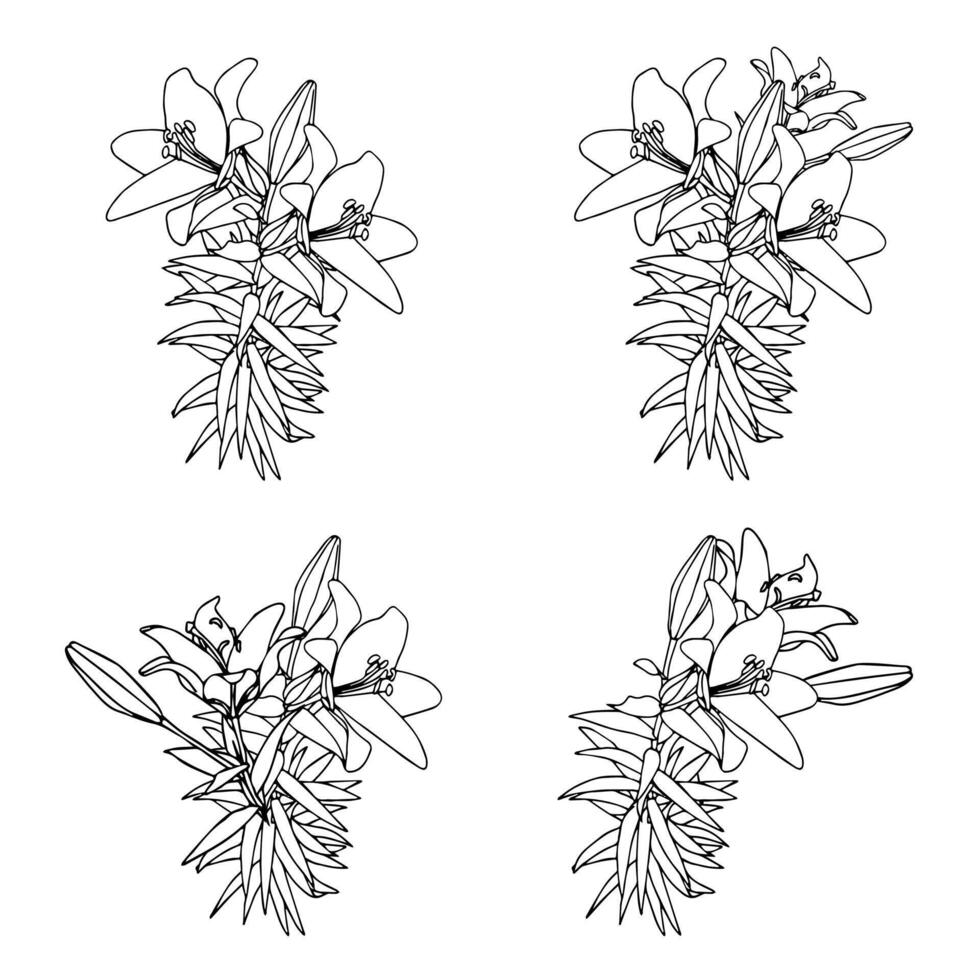 Set of lilies with flowers and leaves on long stems. Doodle style. vector