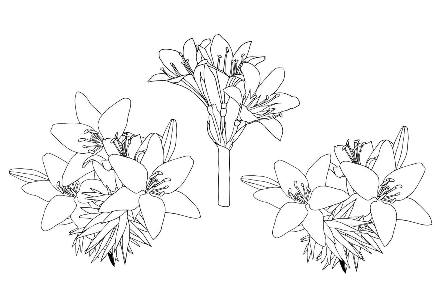 Small set of simple bouquets with lilies. Doodle style. vector