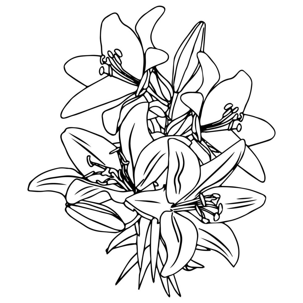 An elegant festive bouquet of lilies in doodle style. vector