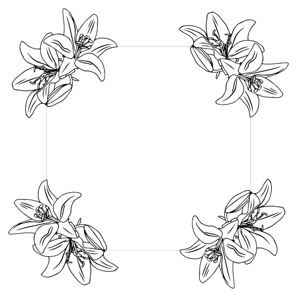 Frame with lilies. vector