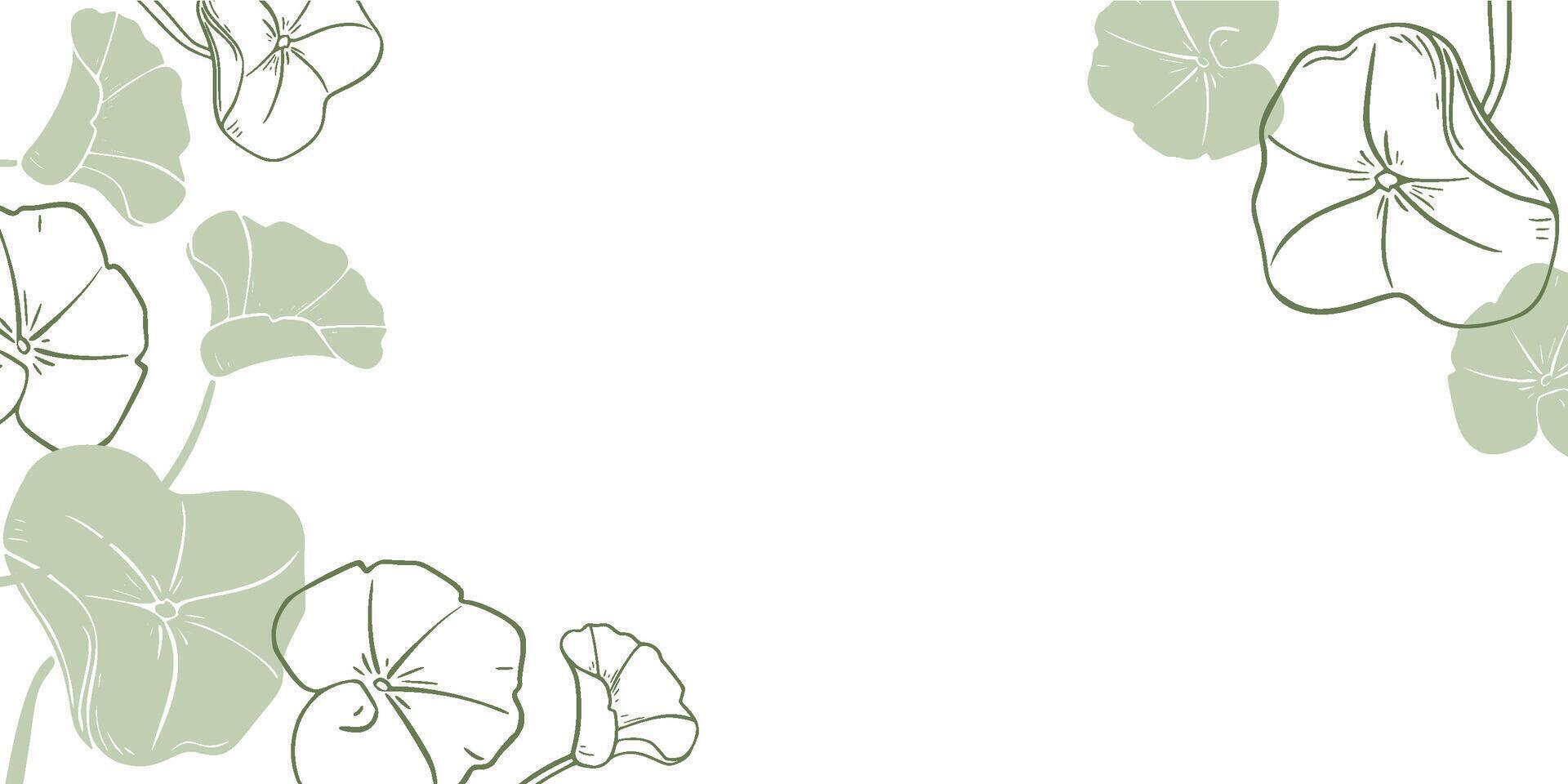 Minimalistic botanical border of Centella asiatica in soft green tones. Pennywort silhouette, gotu kola rounded leaves on banner hand drawn monochrome outline for label skincare, wellness. vector