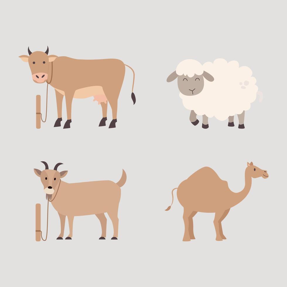 Idul Adha Animal. Muslim Sacrifice animal vector