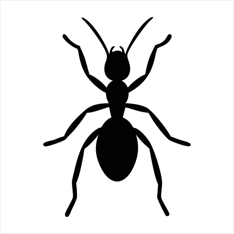 Ant icon isolated on white vector