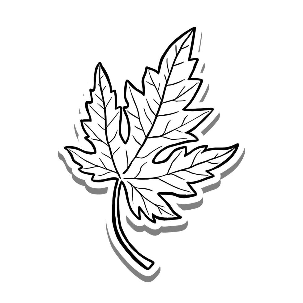 Single Maple Leaf on white silhouette and gray shadow. Hand drawn cartoon style. illustration for decorate and any design. vector