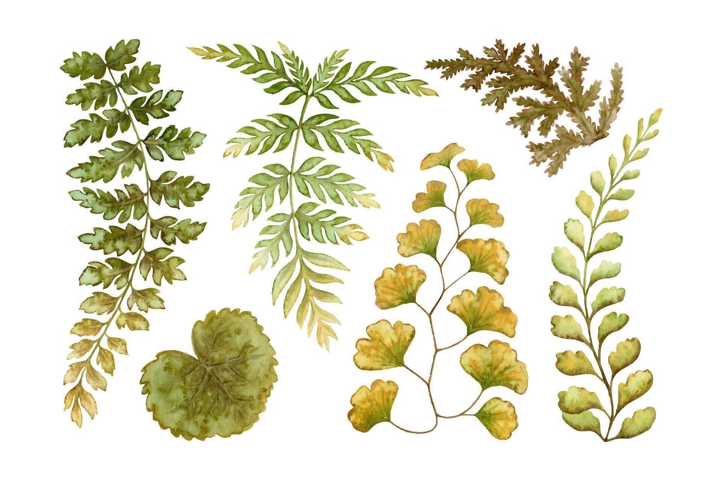 Set of fern leaves textured botanical illustration in earth tone. Hand drawn watercolor floral element of prehistoric plant. Perfect for the use of ecological material and sustainable designs. vector