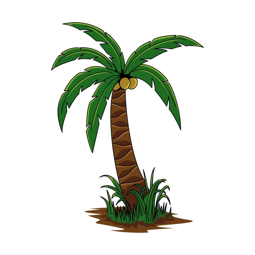 Illustration of a coconut tree, isolated against white, suitable for sticker designs. An essential piece for graphic artists. vector
