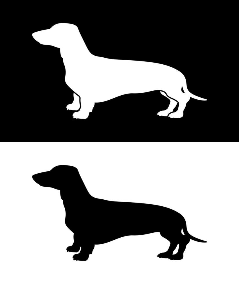 Dachshund dog isolated on black and white background. black silhouette vector