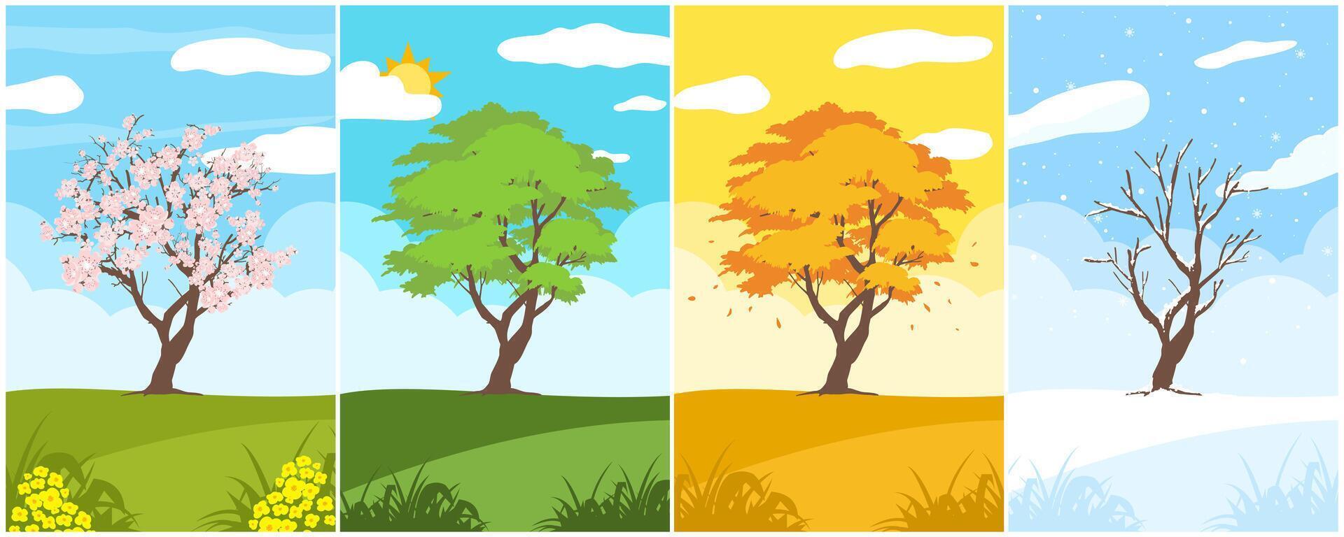 Set trees of four season. Hand drawn isolated illustrations. vector
