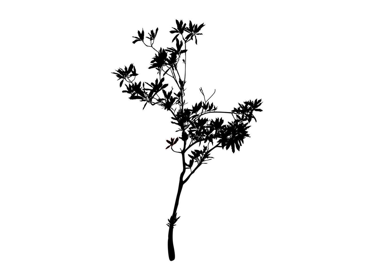 Black Branch Tree or Naked trees and root silhouettes. vector