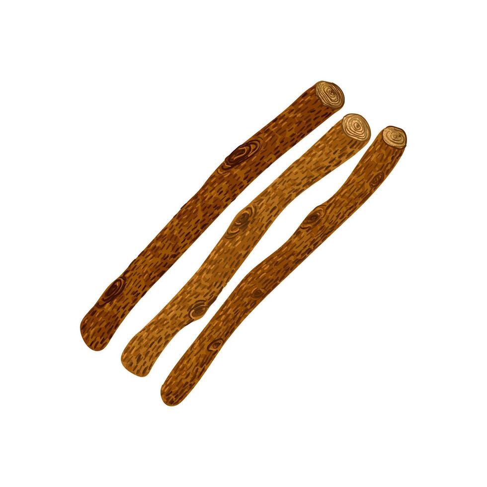 Colorful Textured Illustration of Wooden Sticks Isolated on White Background vector