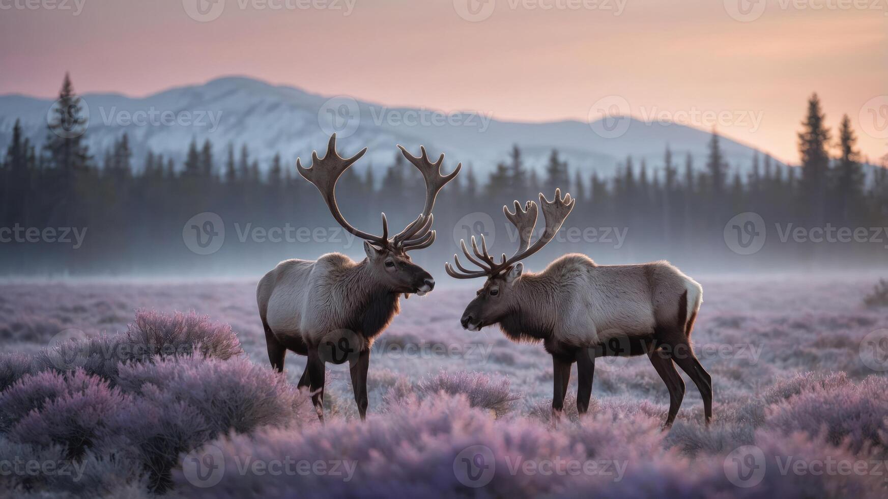 Two majestic reindeer stand in a misty landscape at sunrise, surrounded by purple flowers. photo
