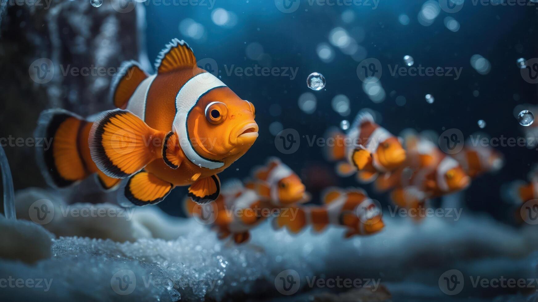 A vibrant underwater scene featuring clownfish swimming among bubbles and coral. photo