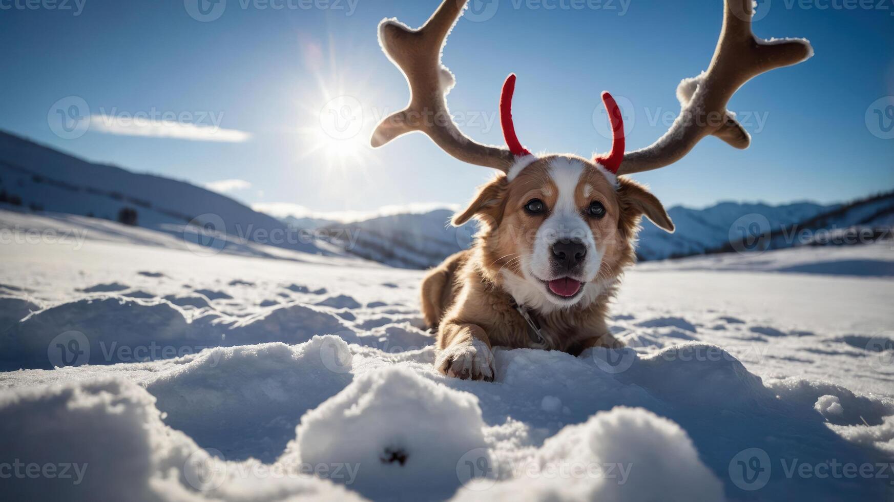 A playful dog with antlers lying in the snow under a bright sun. photo