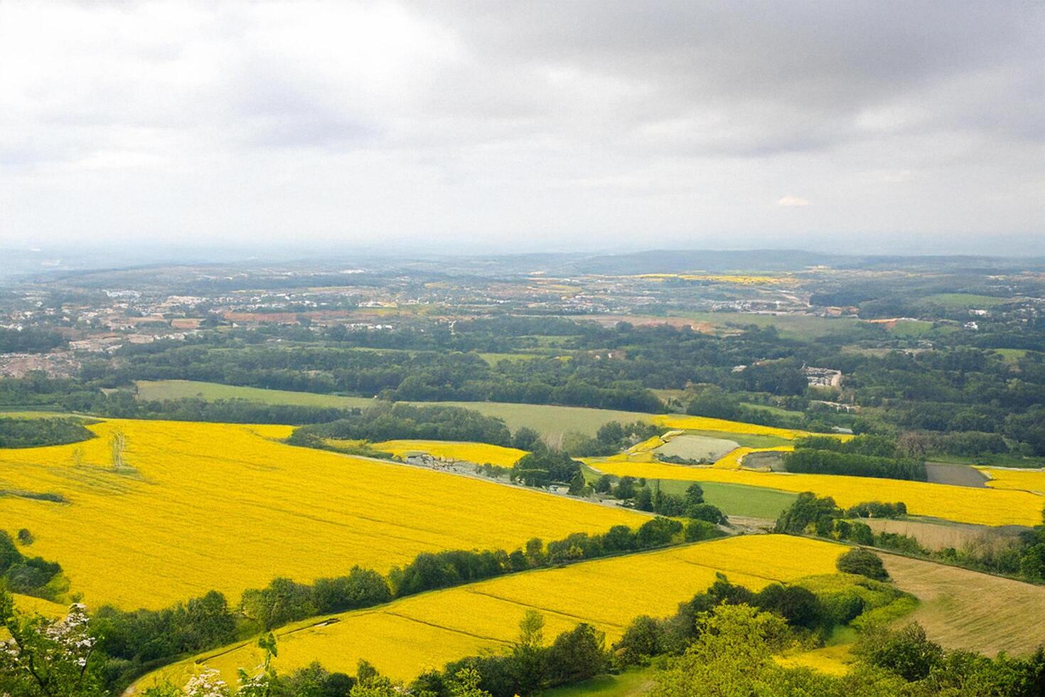 Hilltop view Rapeseed fields, town, cloudy sky photo