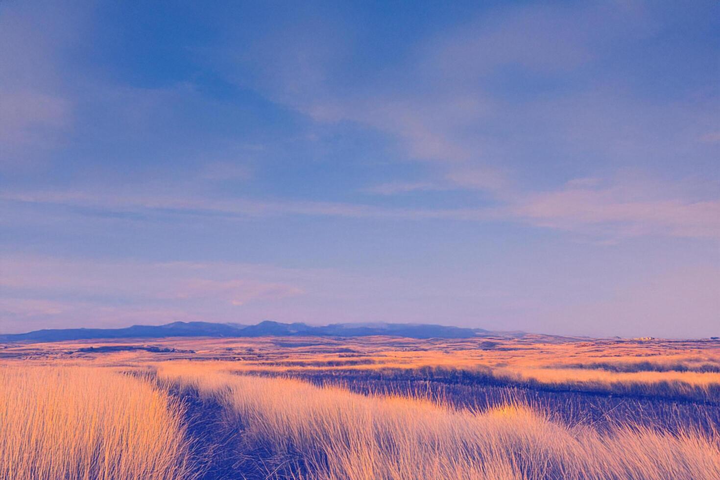 Sunset Prairie Grassland Landscape, Calm Plains photo