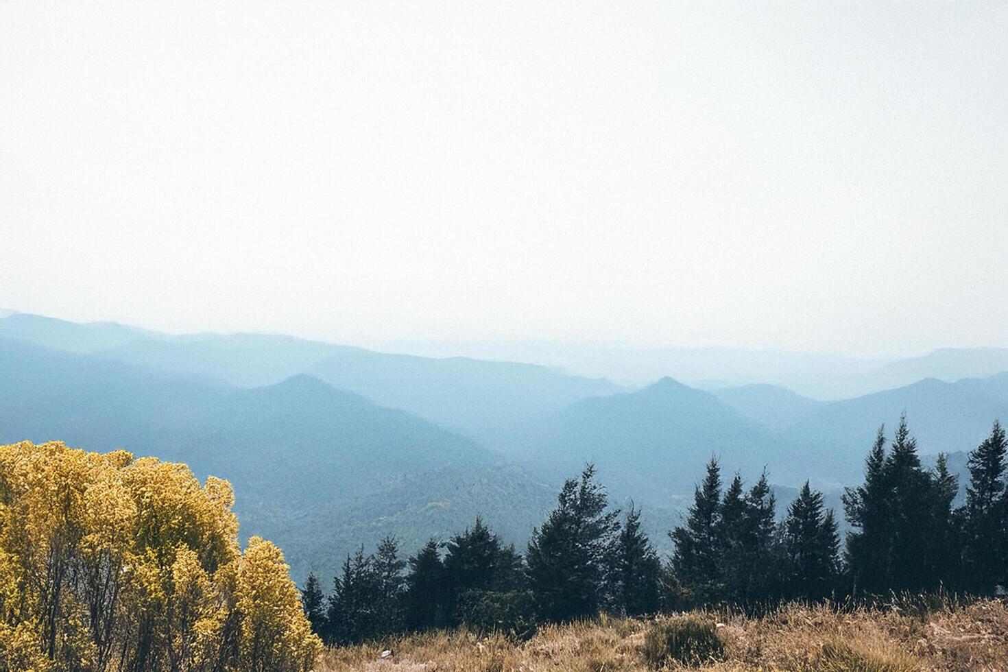 Mountain vista, autumn foliage, hazy sky, scenic overlook photo