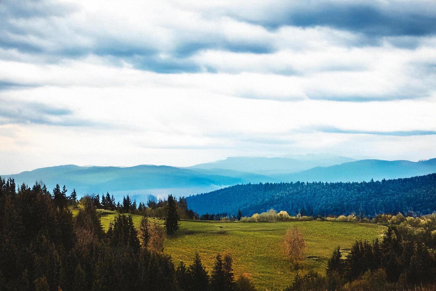 Mountain meadow landscape, cloudy sky, trees, distant peaks, travel scenery photo
