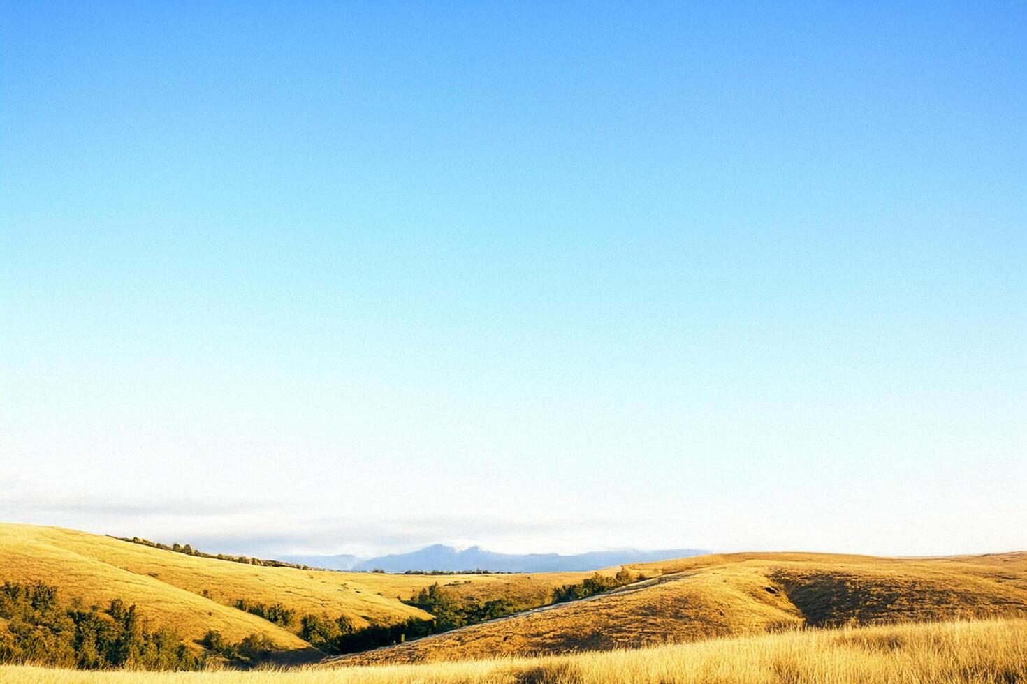 Golden Hills Sunrise Landscape Peaceful Rural Scene photo