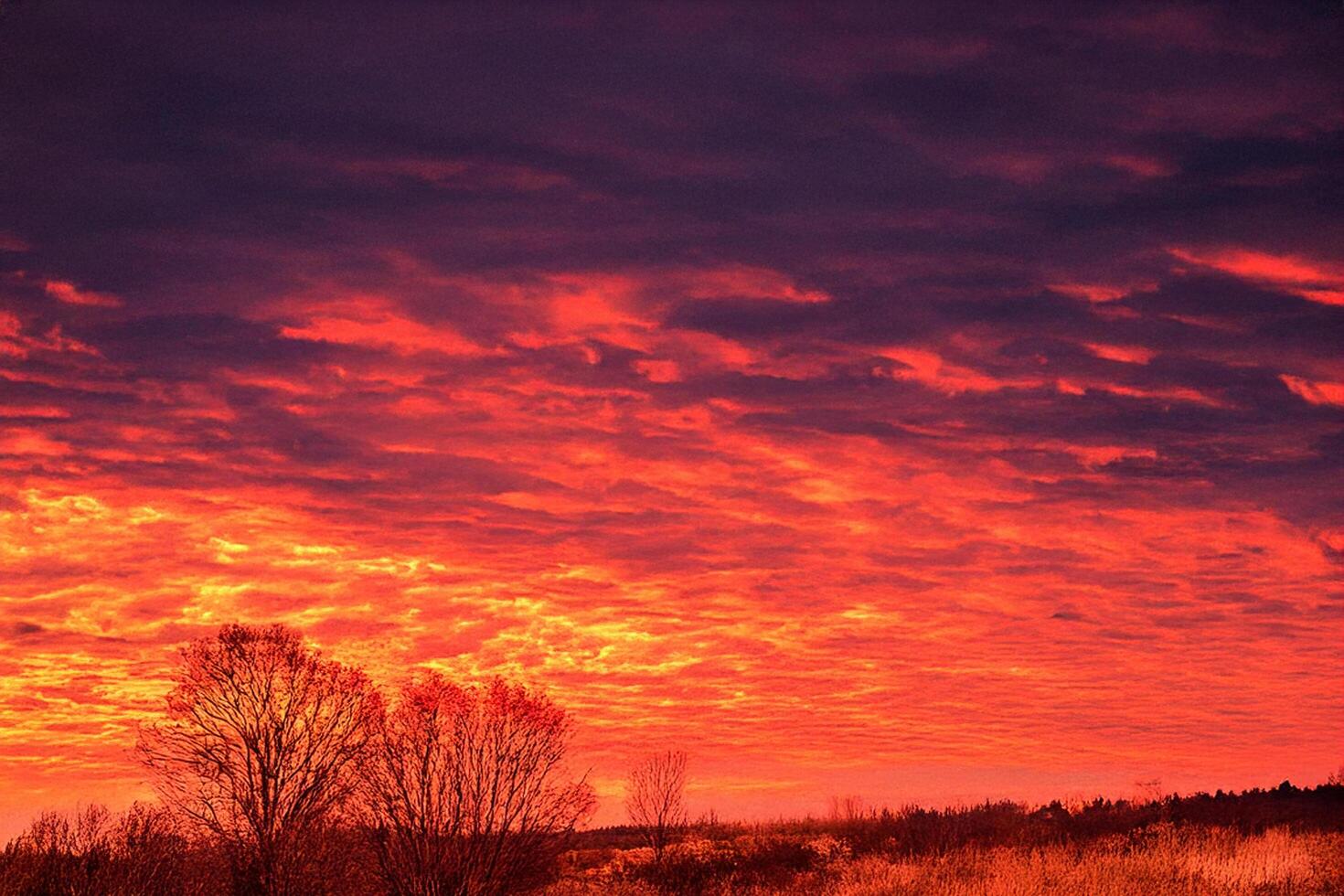 Fiery sunset over winter field, colorful cloudscape photo