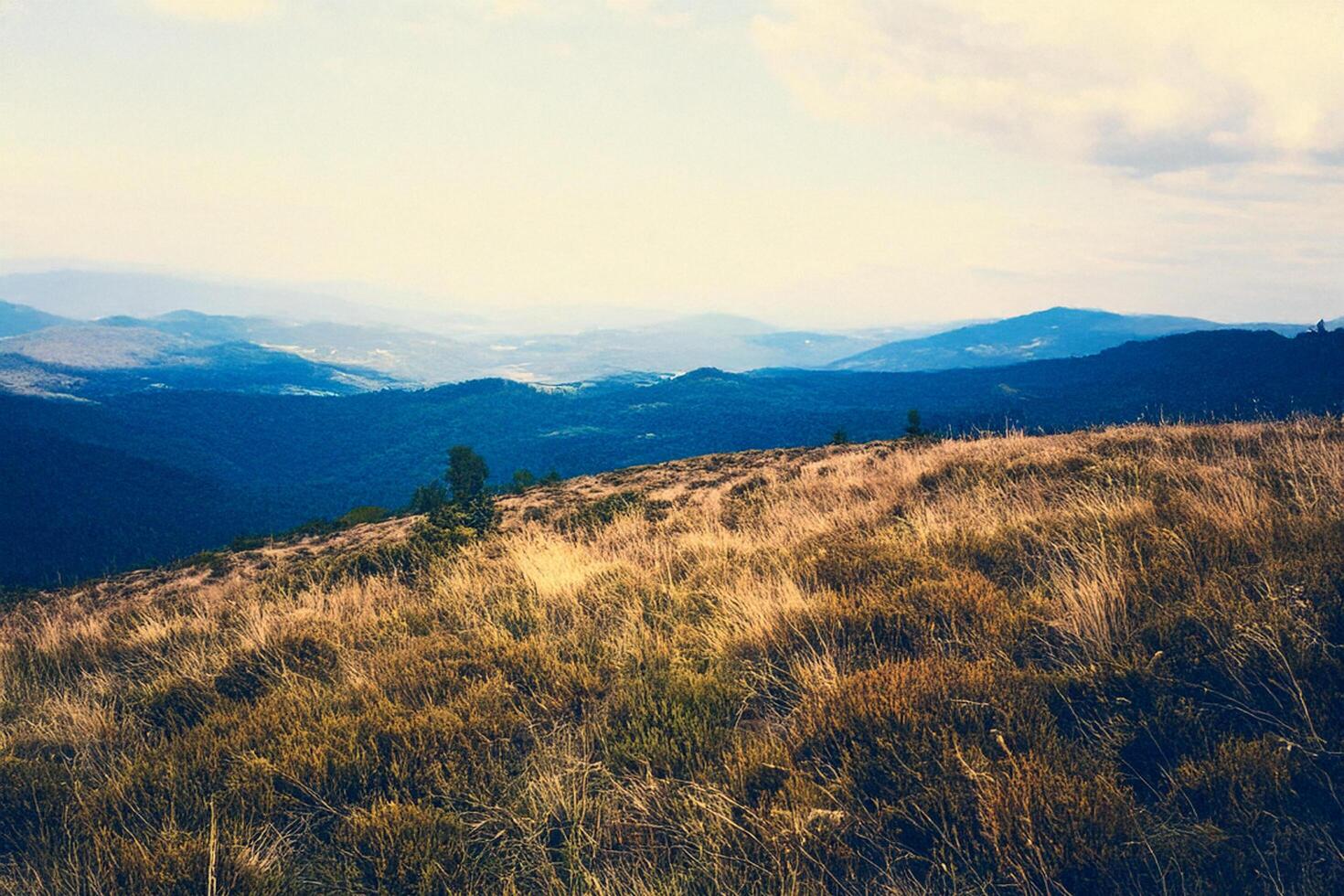 Mountaintop Grassland Vista Hiking Trail Background photo