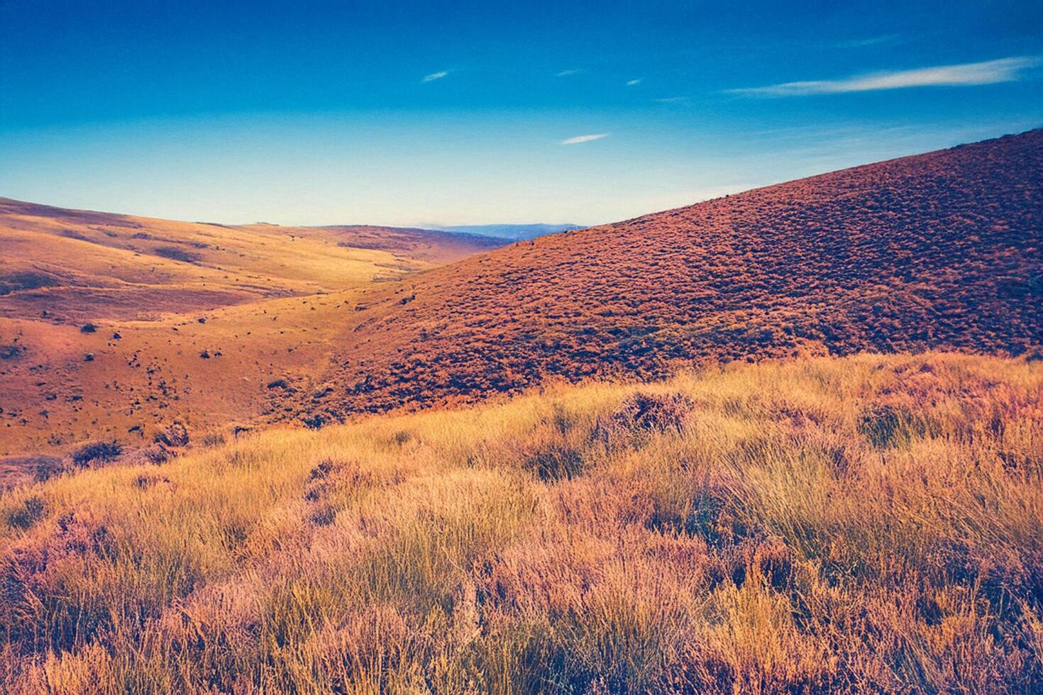 Golden grasslands, rolling hills, sunset, peaceful landscape, travel poster photo