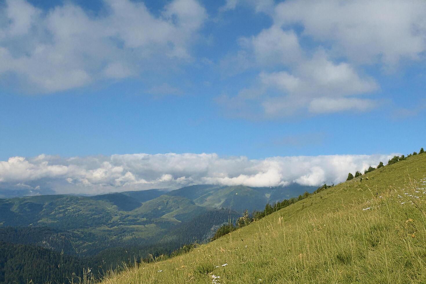 Mountaintop grassland view, cloudscape, scenic hike photo