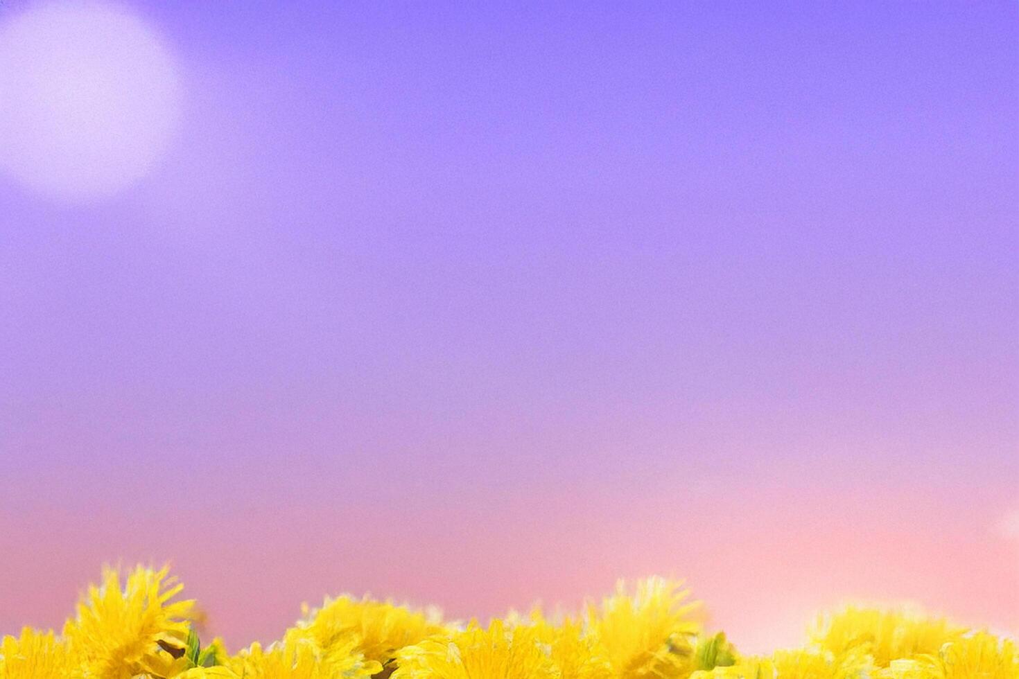 Yellow flowers sunset sky background design photo