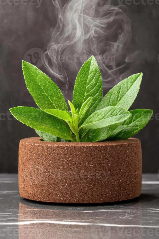 Steam rising from a plant in a brown pot photo