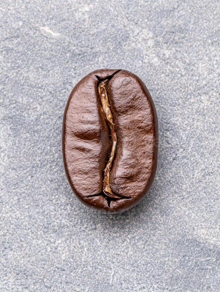Close up of a single roasted coffee bean on a gray background photo