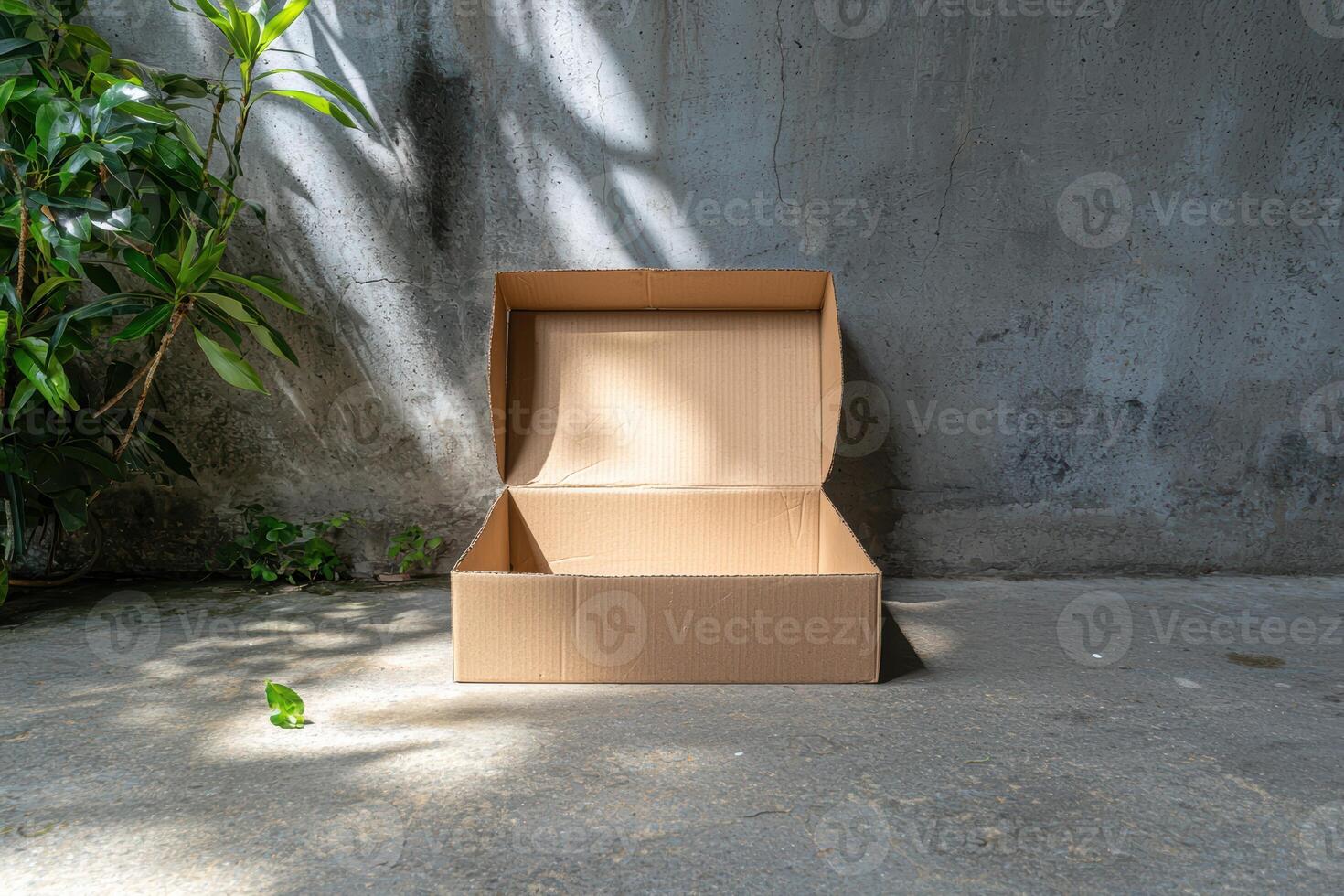 Empty cardboard box on a grunge background photo