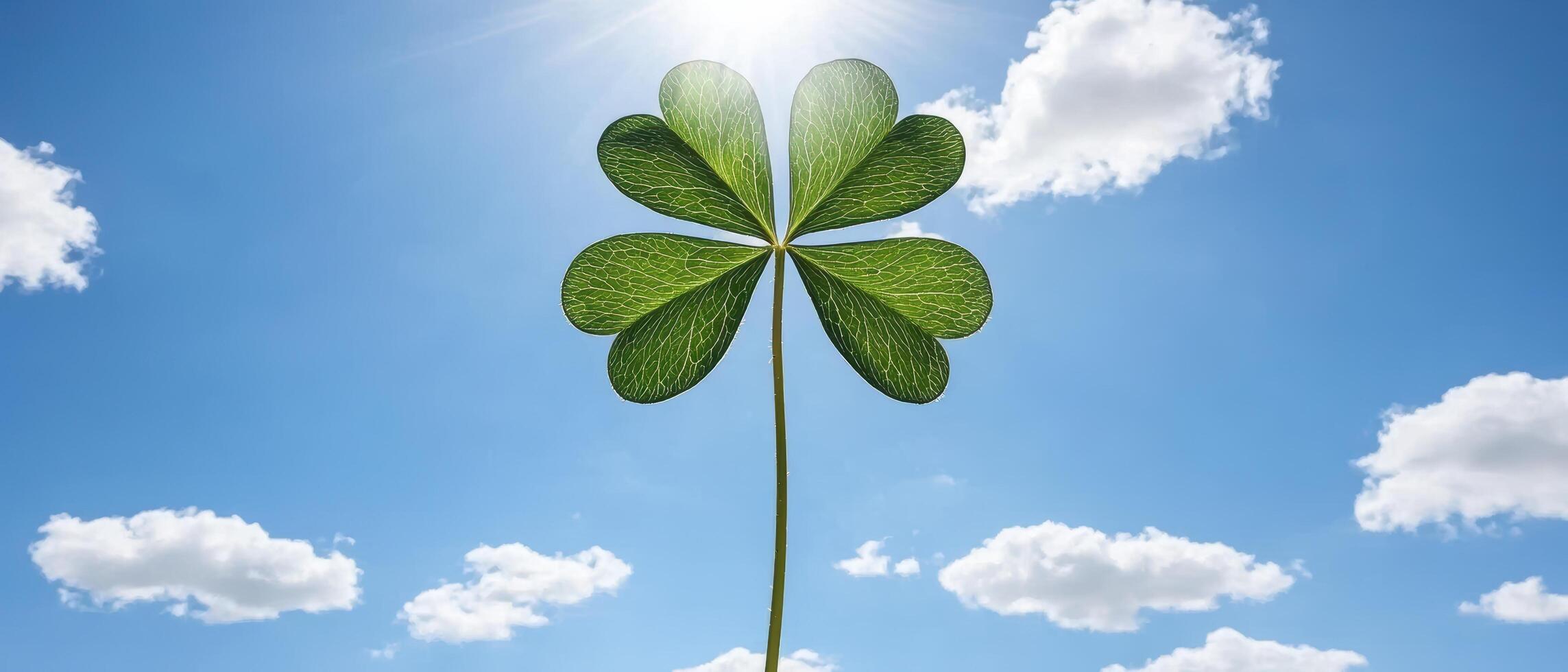 Four leaf clover against a bright blue sky with fluffy white clouds photo