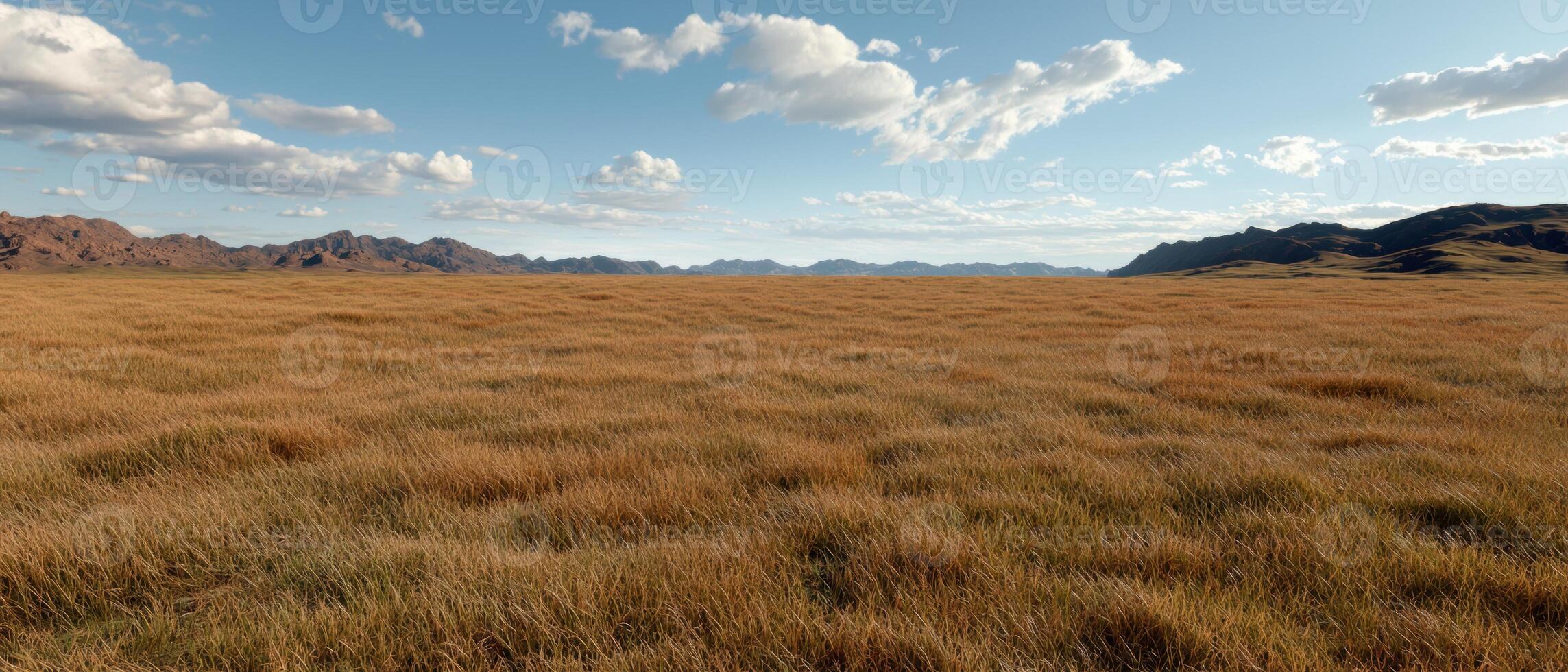 Vast golden field under a blue sky with mountains in the background photo