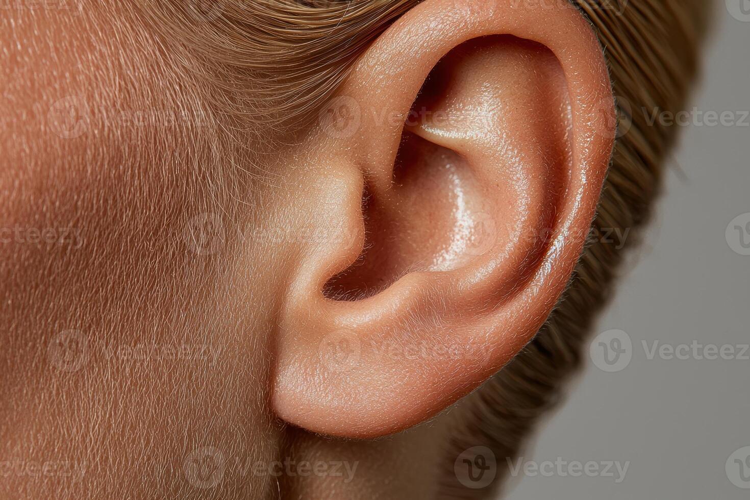 Close up of a womans ear, showing skin texture and details photo