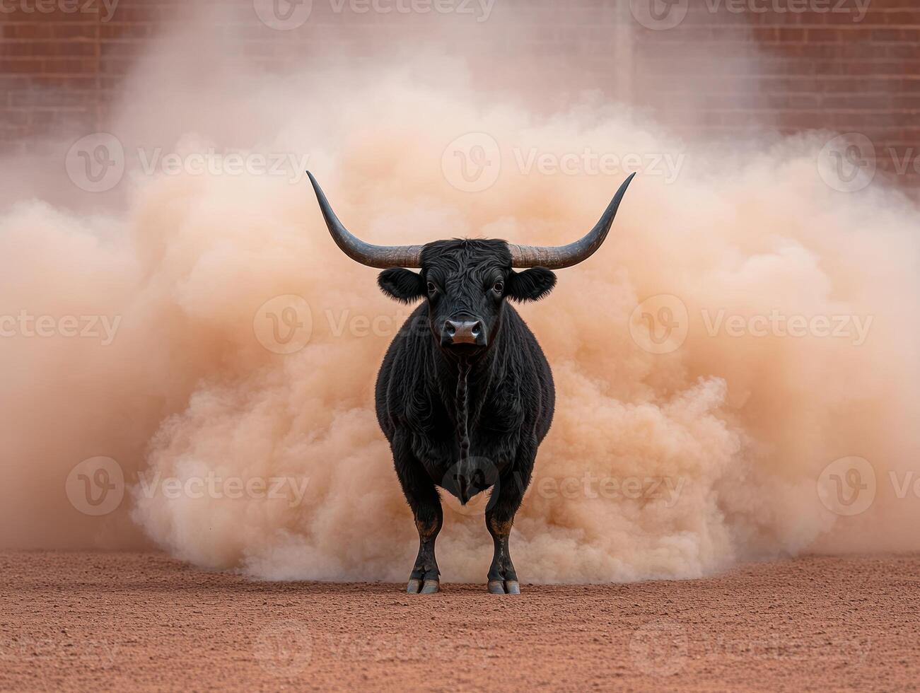 Black bull running through a cloud of dust in a bullring photo