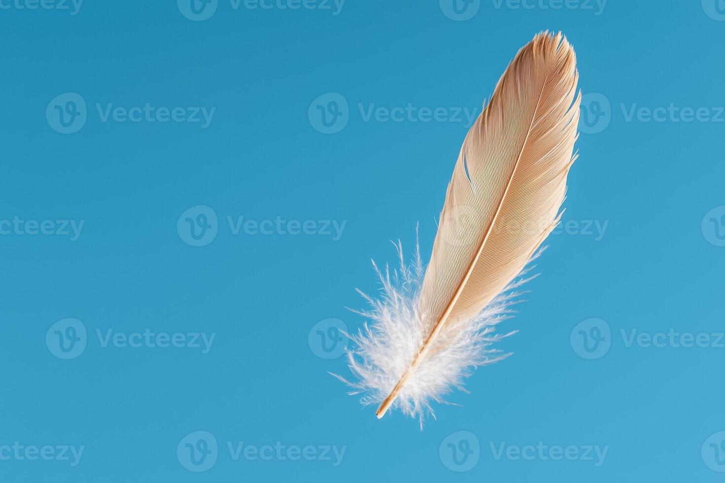 Single soft feather floating on a blue background photo