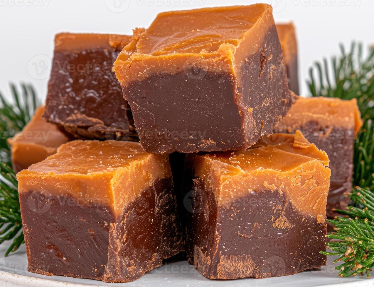 Delicious homemade chocolate caramel fudge squares photo