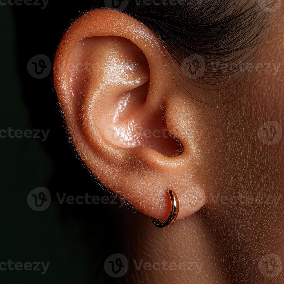 Close up of a womans ear with a small gold hoop earring. photo