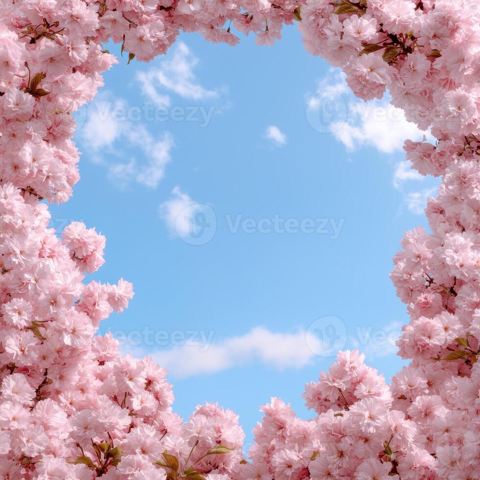 Pink cherry blossoms frame a bright blue sky. photo