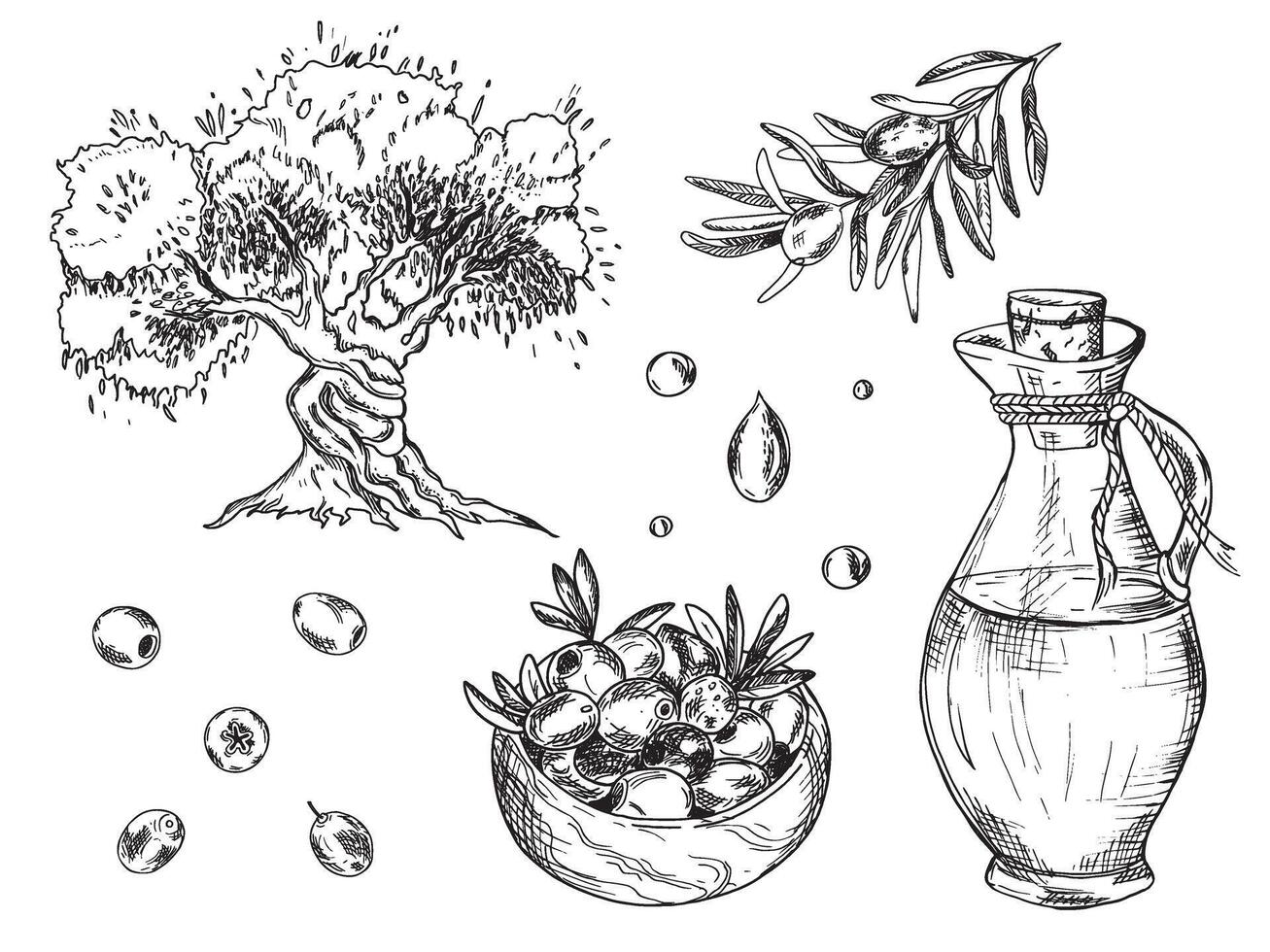 Olive set. Branches, isolated Fruits and olives in a Wooden Bowl, olive tree and Oil Drops, glass Jug. Hand drawn botanical line art, illustration. For cards, menu, product vector