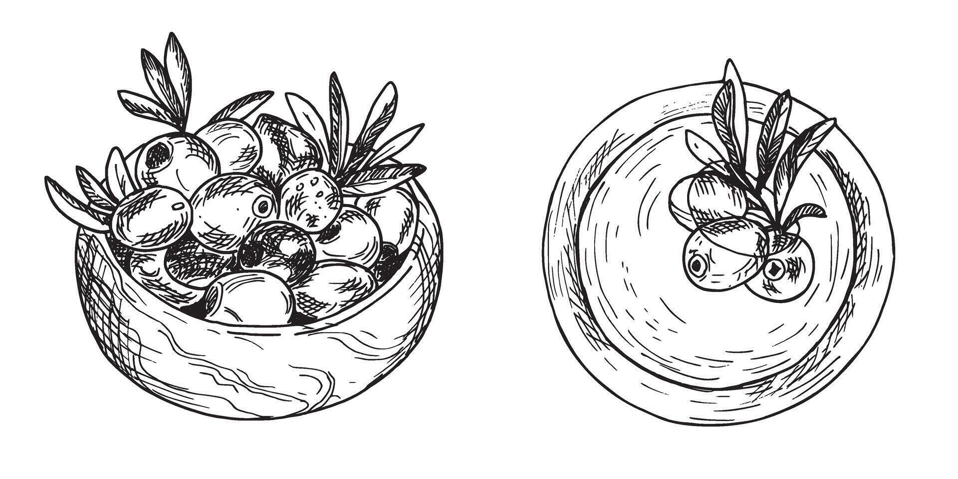 Set of two Bowls, Wooden and Oil with Olives and olive Branches from side and top view isolated on background. Hand drawn Ink Sketch, Botanical illustration in outline style. Can be used for menu vector