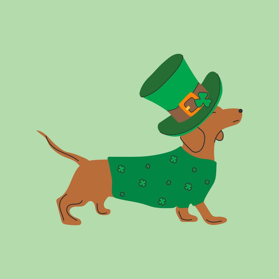 Dachshund dog wearing costumes for St. Patrick's day. A cartoon dog wearing a green hat vector