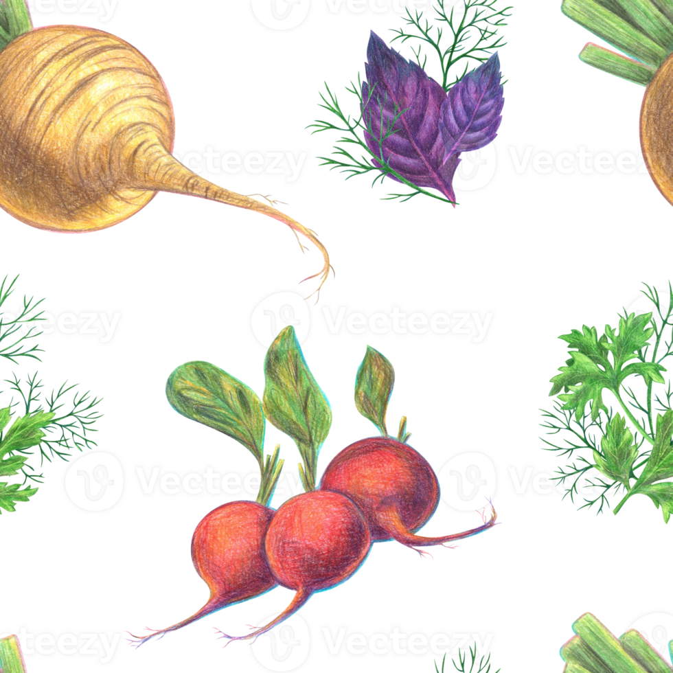 Root vegetables radish and radish with sprigs of green herbs - basil, dill and parsley. Seamless pattern. Pencil-drawn illustration, graphics. For design, decor, textiles, printing, souvenirs png
