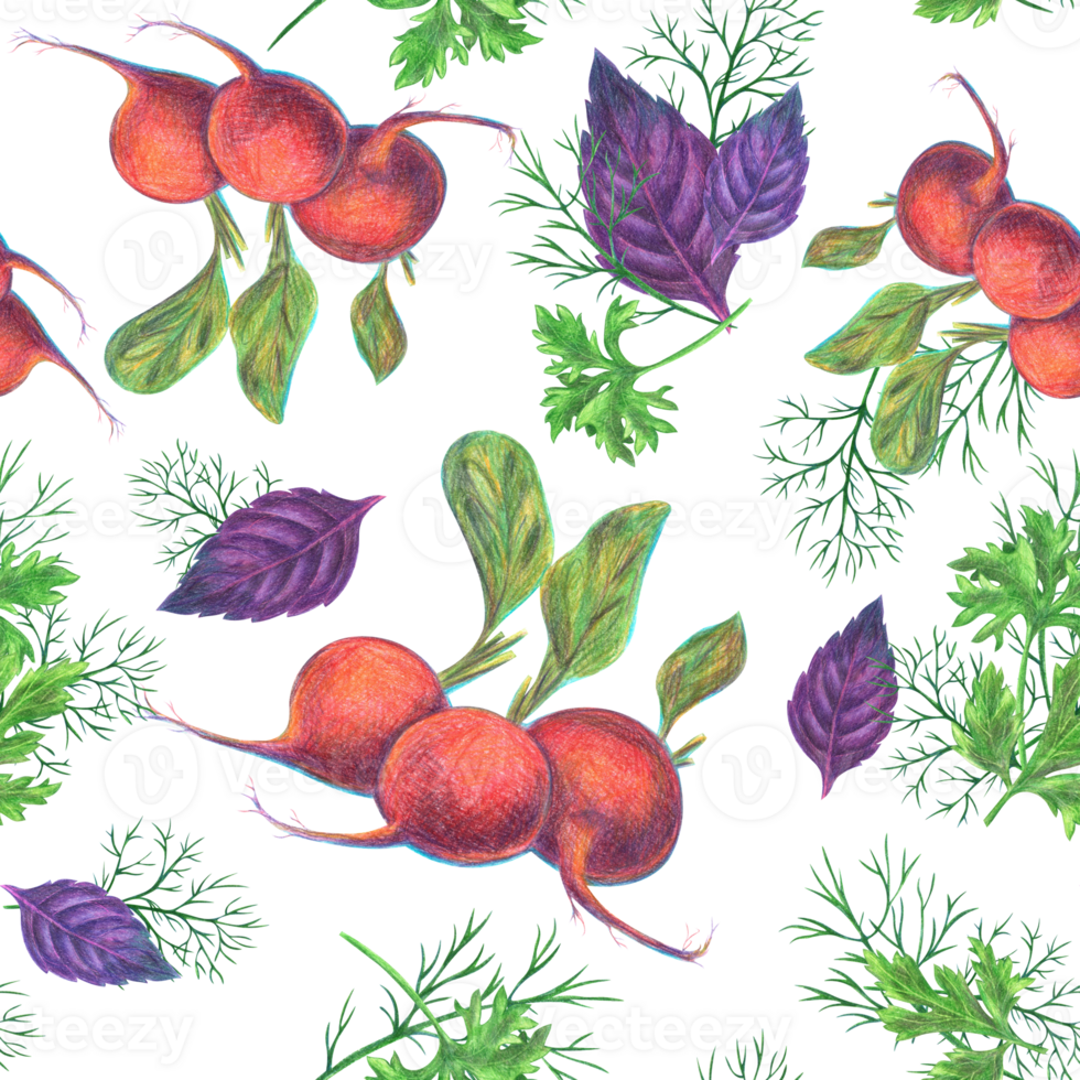 Radish root with sprigs of green herbs - basil, dill and parsley. Seamless pattern. Pencil-drawn illustration, graphics. For design, decor, textiles, printing, souvenirs png