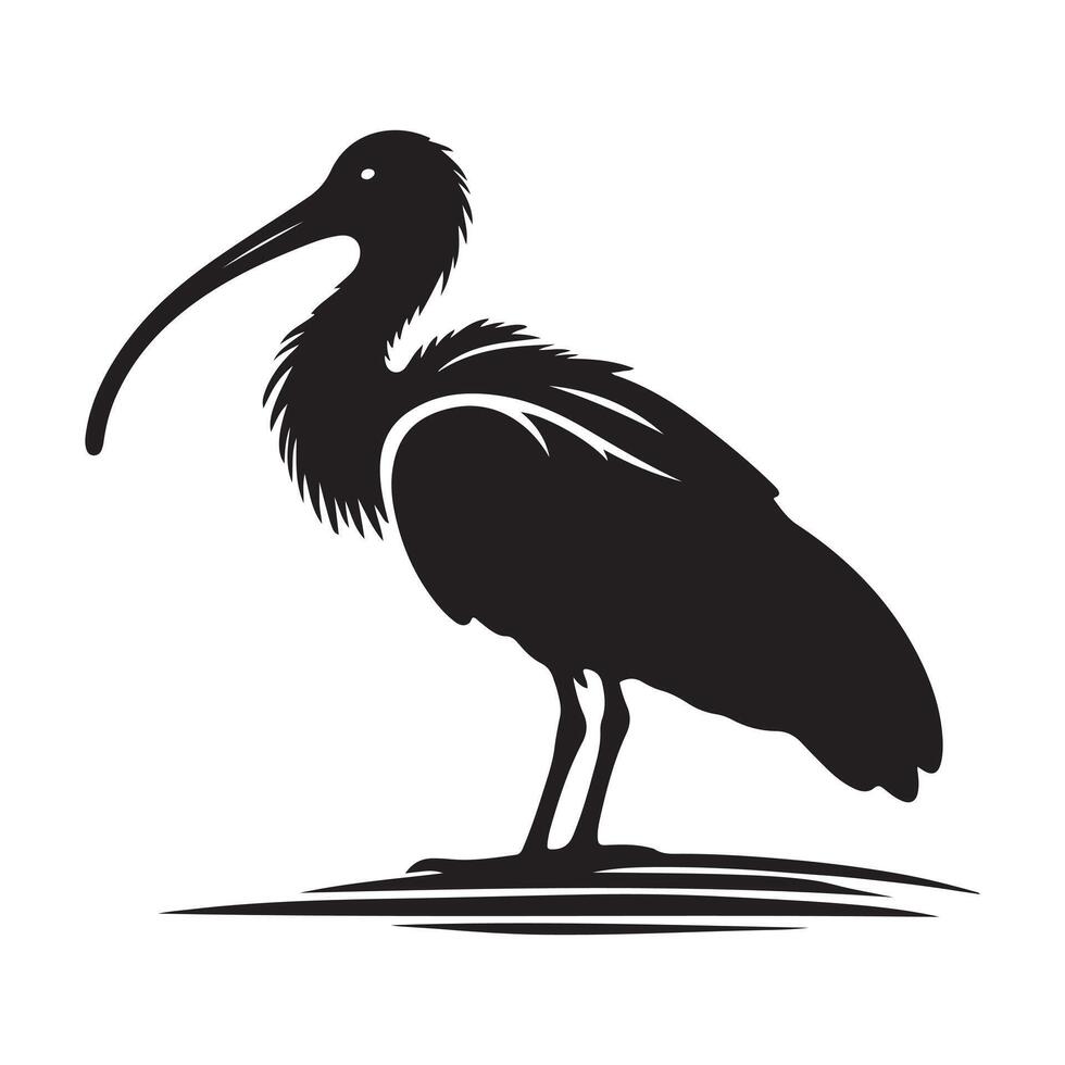Detailed Black-Headed Ibis Silhouette Vectors for Digital and Print Projects