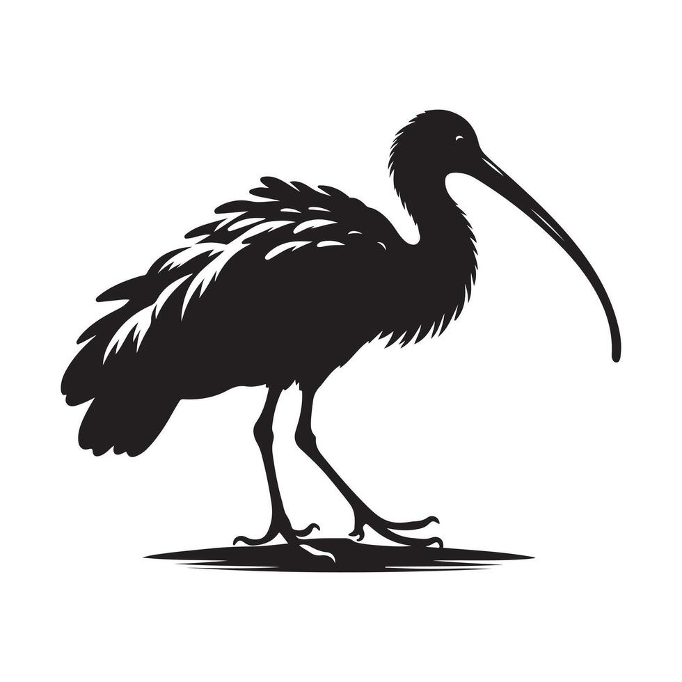 Black-Headed Ibis Silhouette Vectors for Nature and Bird Themed Designs