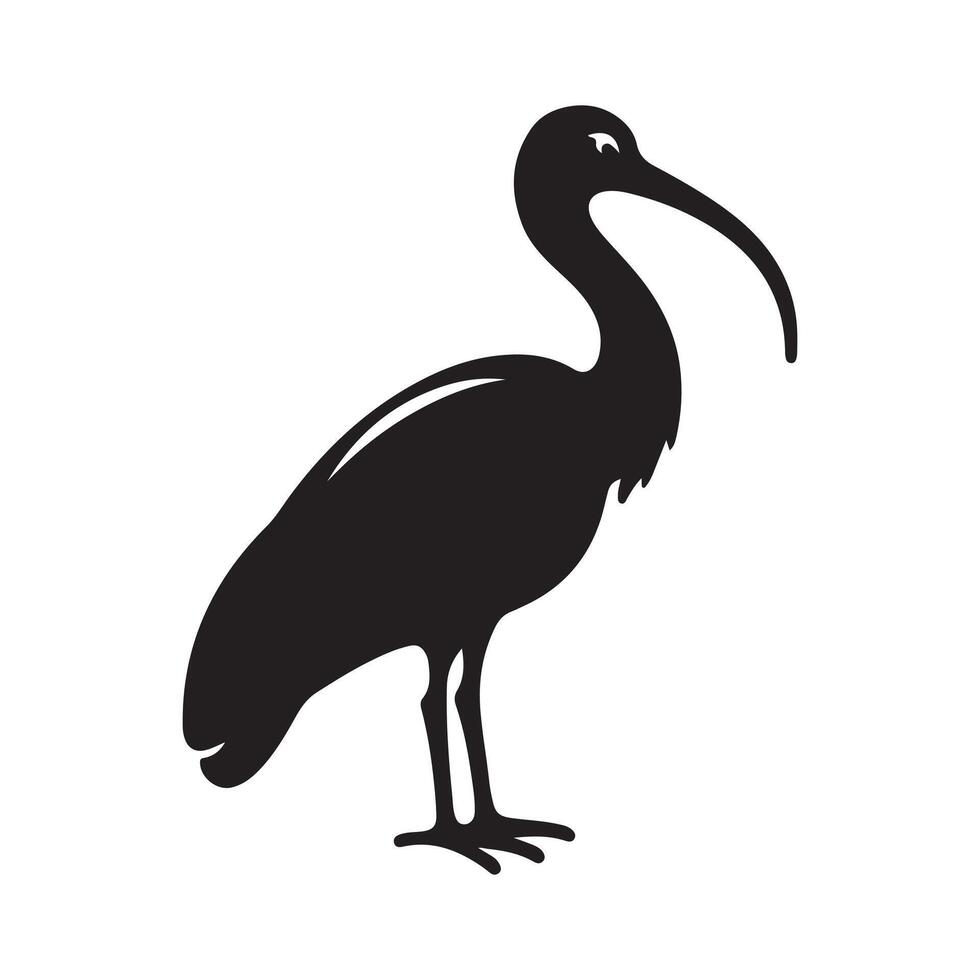 Create Stunning Wildlife Designs with Black-Headed Ibis Silhouettes vector