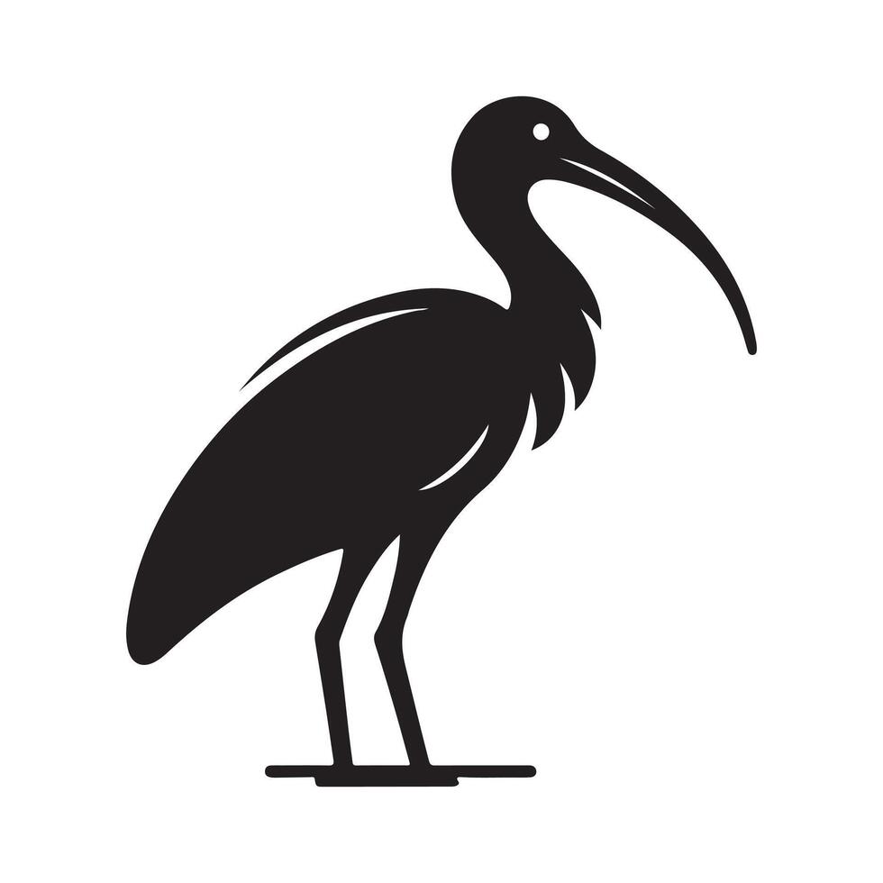 Black-Headed Ibis Silhouette Vectors for Logos, Posters, and Web Elements