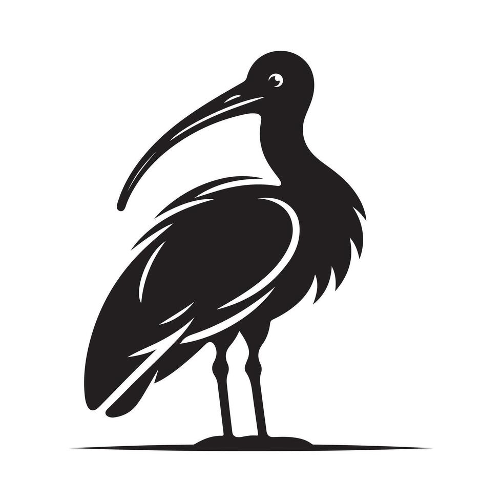 Black-Headed Ibis Silhouettes Ideal for Wildlife and Conservation Graphics vector