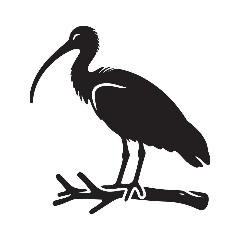 Elegant Black-Headed Ibis Silhouette Vectors for Eco-Friendly Branding